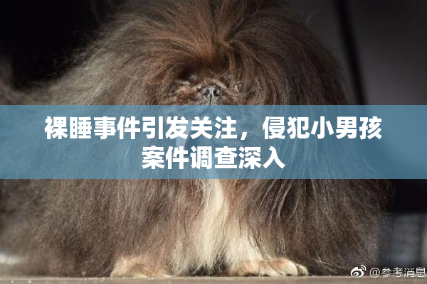 裸睡事件引发关注，侵犯小男孩案件调查深入