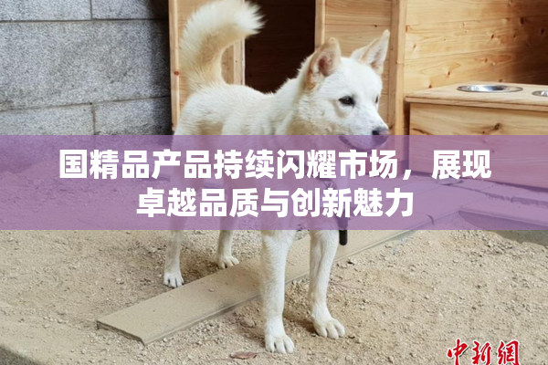 国精品产品持续闪耀市场，展现卓越品质与创新魅力