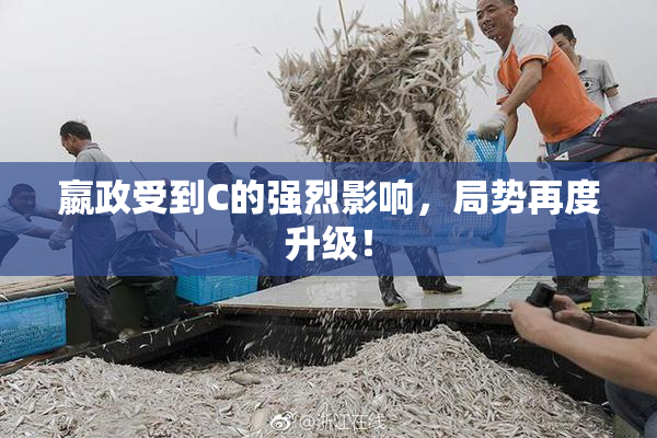 嬴政受到C的强烈影响，局势再度升级！