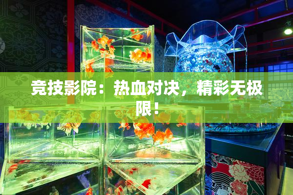 竞技影院：热血对决，精彩无极限！