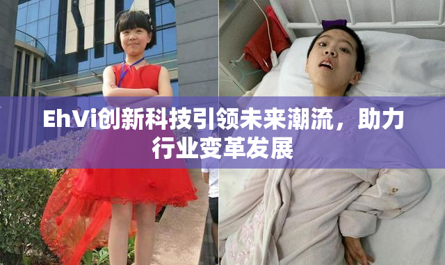 EhVi创新科技引领未来潮流，助力行业变革发展