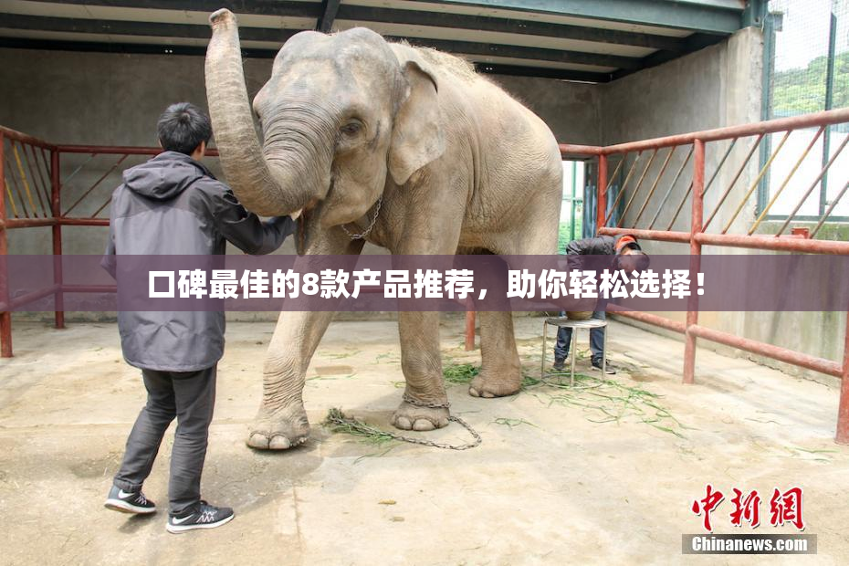 口碑最佳的8款产品推荐，助你轻松选择！