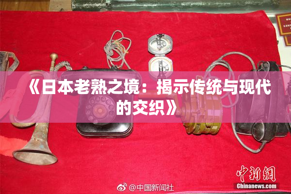 《日本老熟之境：揭示传统与现代的交织》