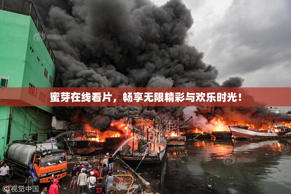 蜜芽在线看片，畅享无限精彩与欢乐时光！