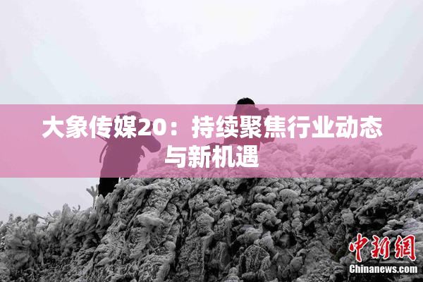 大象传媒20：持续聚焦行业动态与新机遇