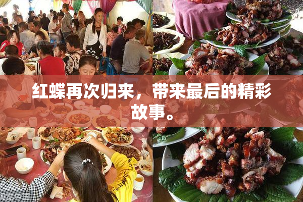 红蝶再次归来，带来最后的精彩故事。