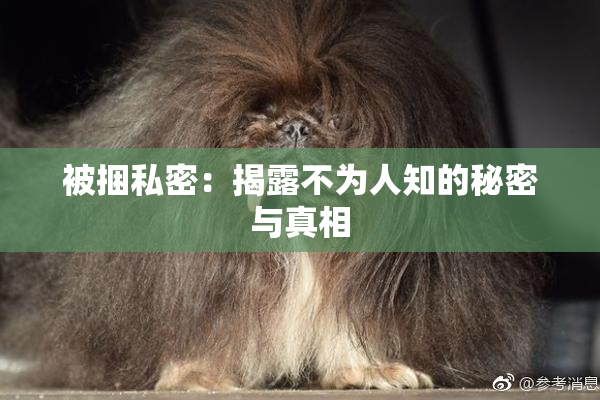 被捆私密：揭露不为人知的秘密与真相