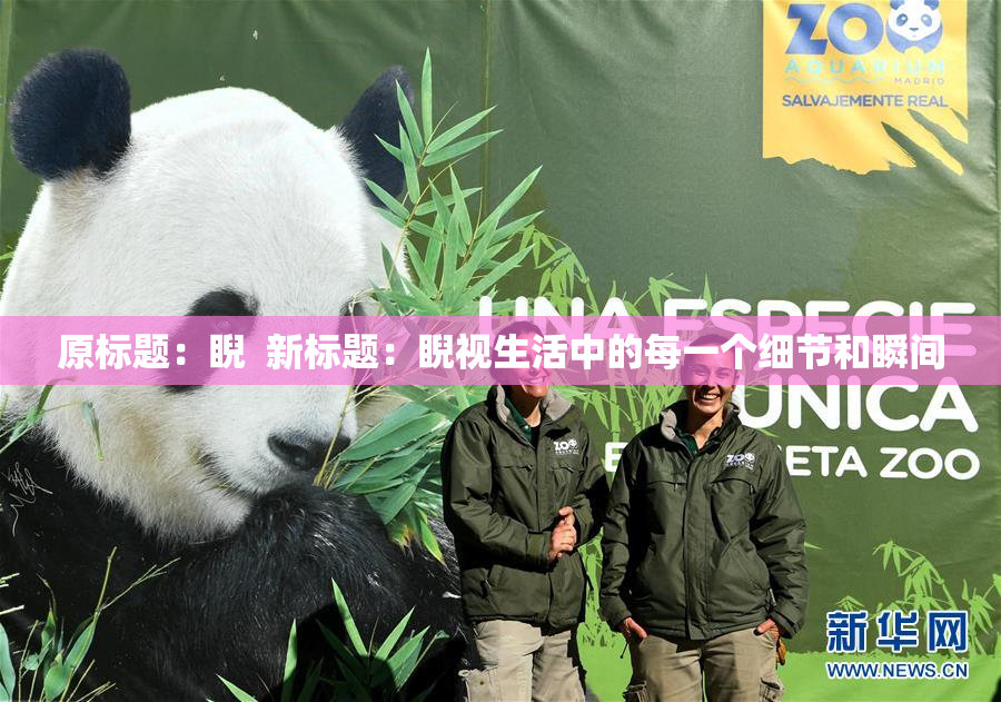 原标题：睨  新标题：睨视生活中的每一个细节和瞬间