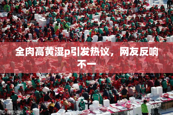 全肉高黄湿p引发热议，网友反响不一
