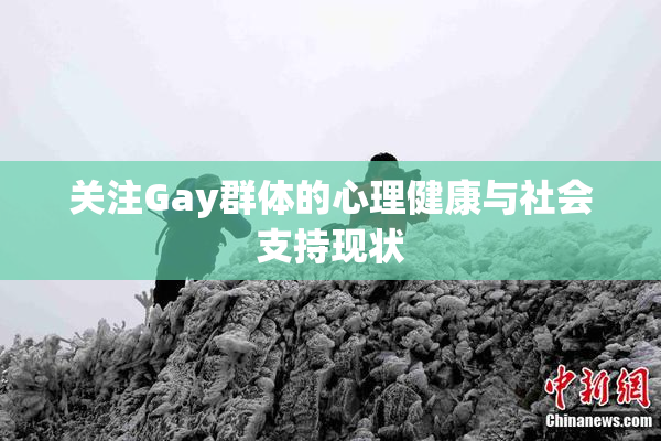 关注Gay群体的心理健康与社会支持现状
