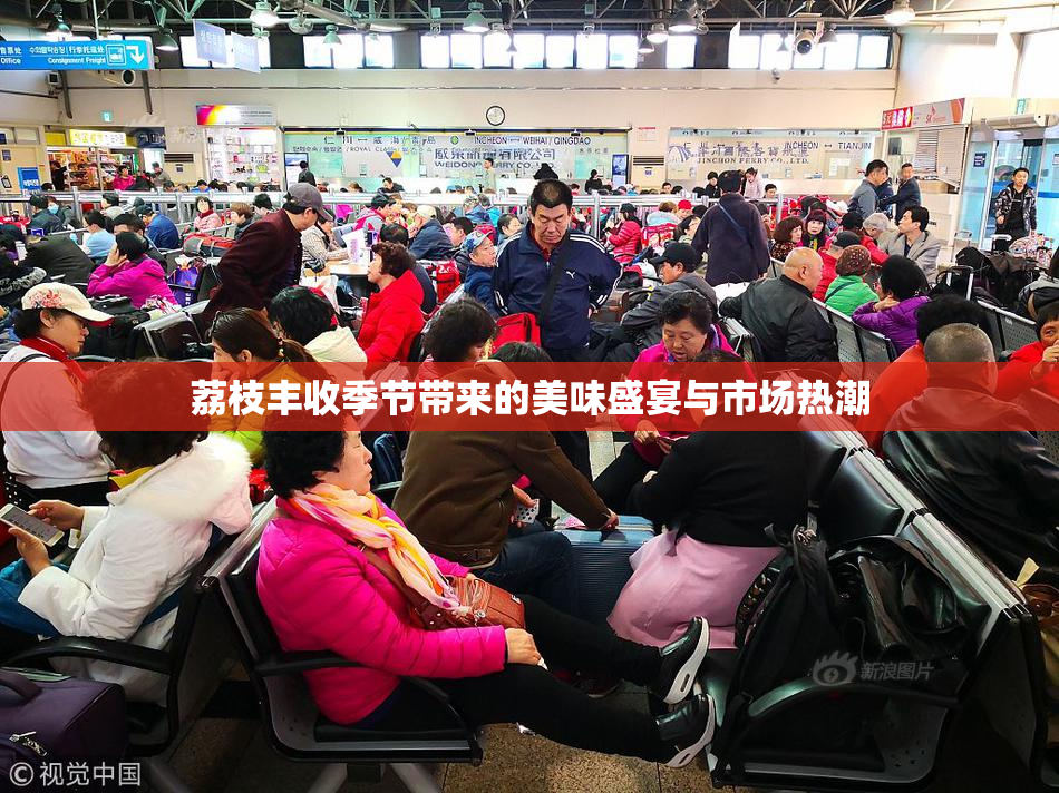 荔枝丰收季节带来的美味盛宴与市场热潮