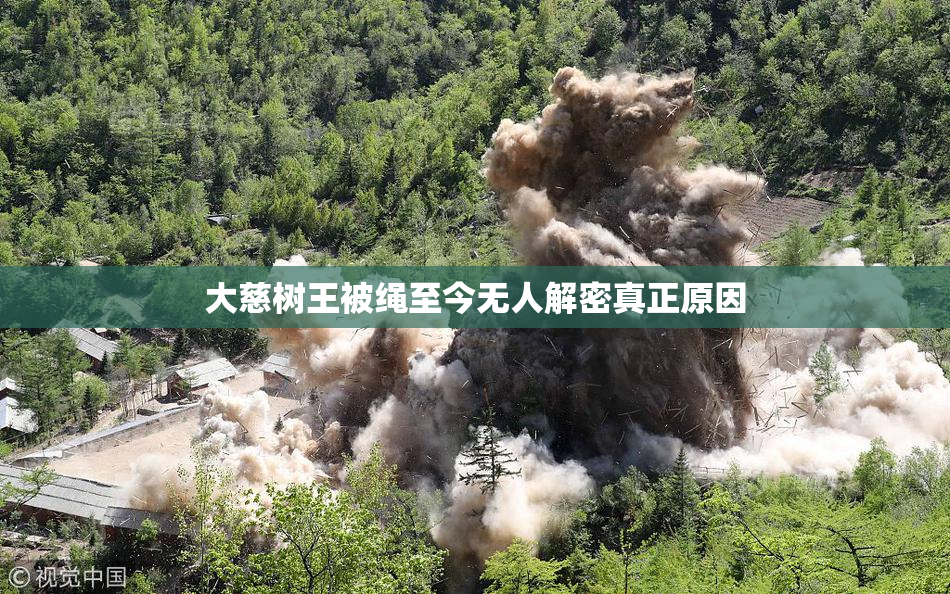 大慈树王被绳至今无人解密真正原因