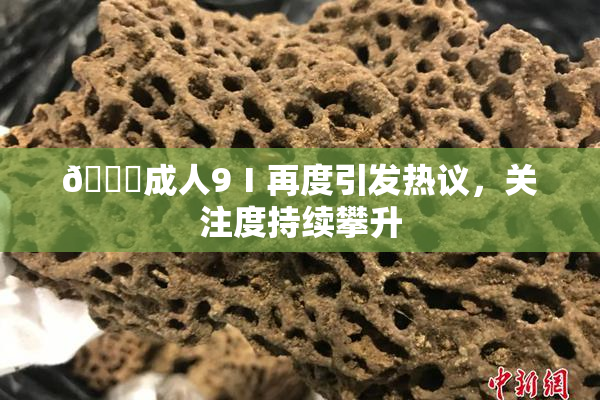 🔞成人9Ⅰ再度引发热议，关注度持续攀升