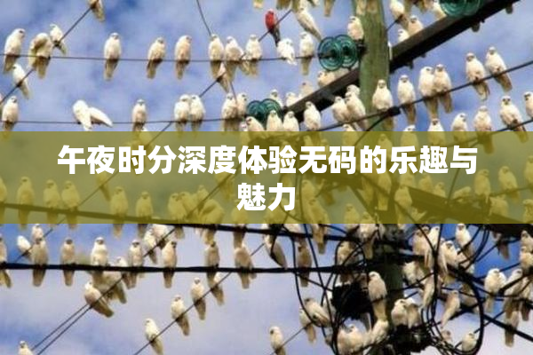 午夜时分深度体验无码的乐趣与魅力