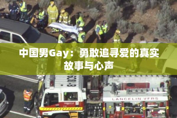 中国男Gay：勇敢追寻爱的真实故事与心声