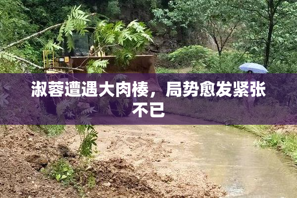 淑蓉遭遇大肉楱，局势愈发紧张不已