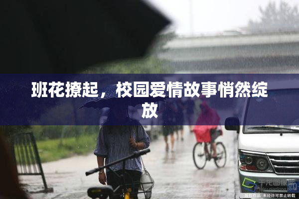 班花撩起，校园爱情故事悄然绽放