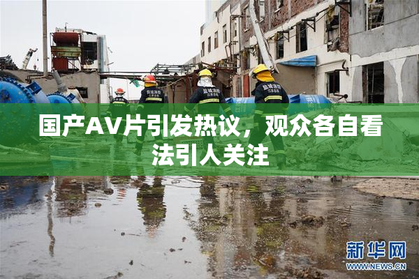 国产AV片引发热议，观众各自看法引人关注