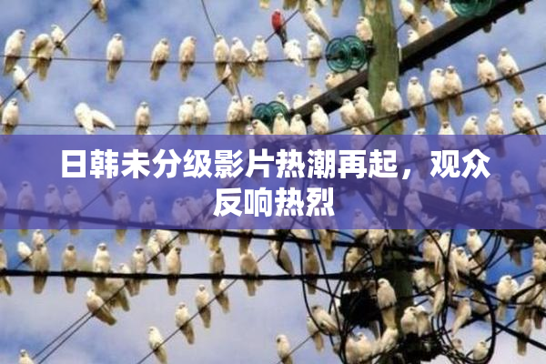 日韩未分级影片热潮再起，观众反响热烈