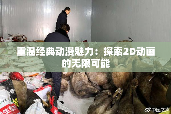 重温经典动漫魅力：探索2D动画的无限可能