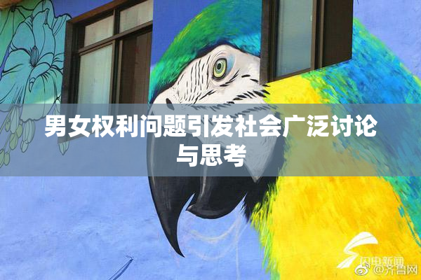 男女权利问题引发社会广泛讨论与思考