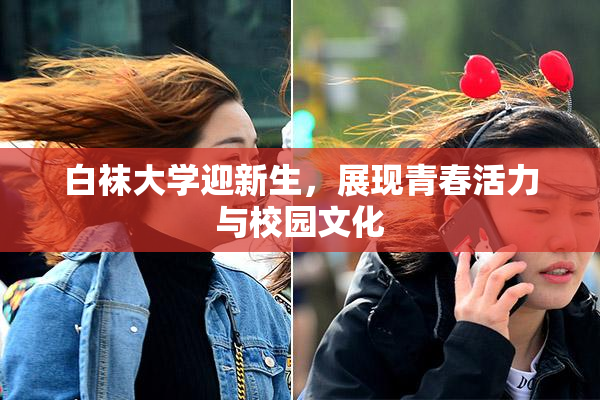 白袜大学迎新生，展现青春活力与校园文化