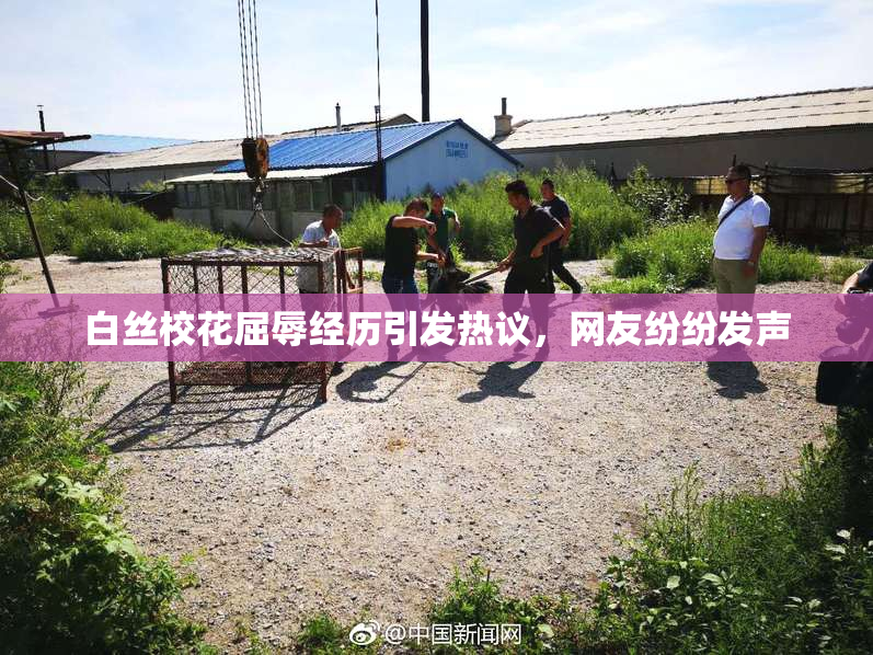白丝校花屈辱经历引发热议，网友纷纷发声