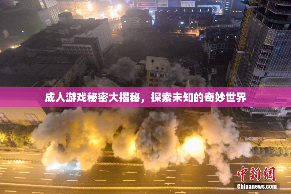 成人游戏秘密大揭秘，探索未知的奇妙世界