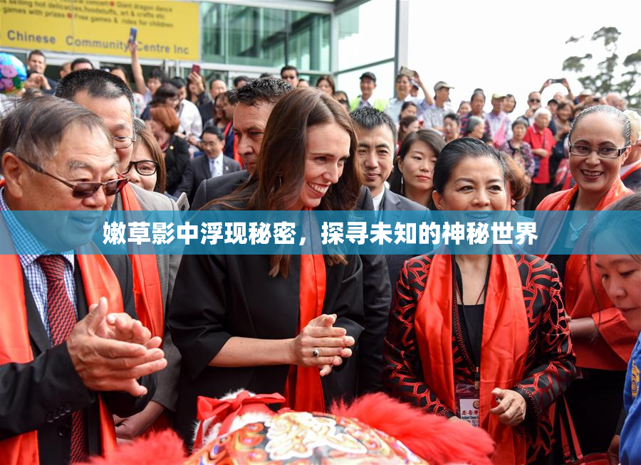 嫩草影中浮现秘密，探寻未知的神秘世界
