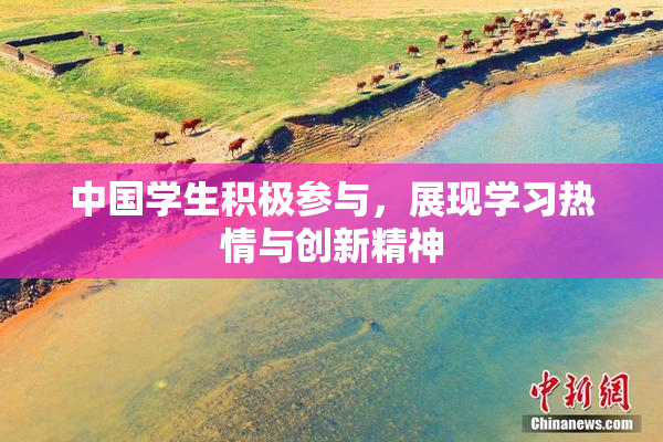 中国学生积极参与，展现学习热情与创新精神