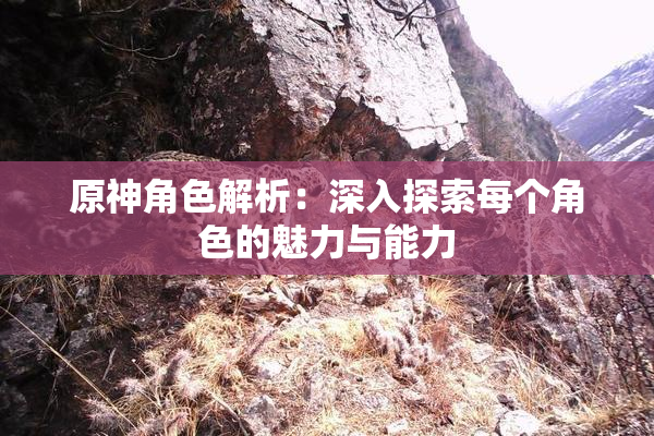原神角色解析：深入探索每个角色的魅力与能力