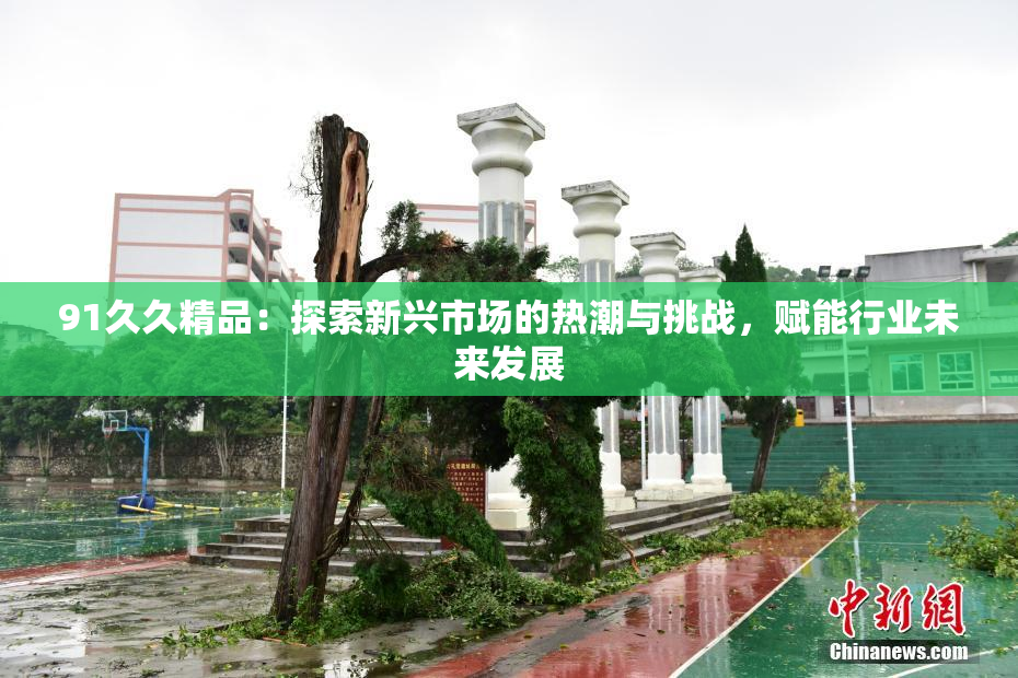 91久久精品：探索新兴市场的热潮与挑战，赋能行业未来发展