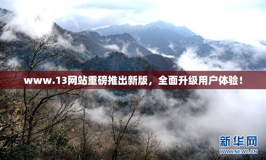 www.13网站重磅推出新版，全面升级用户体验！
