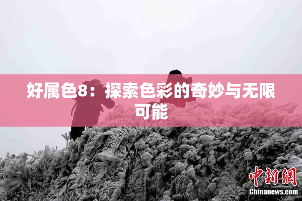 好属色8：探索色彩的奇妙与无限可能