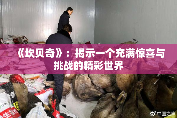 《坎贝奇》：揭示一个充满惊喜与挑战的精彩世界