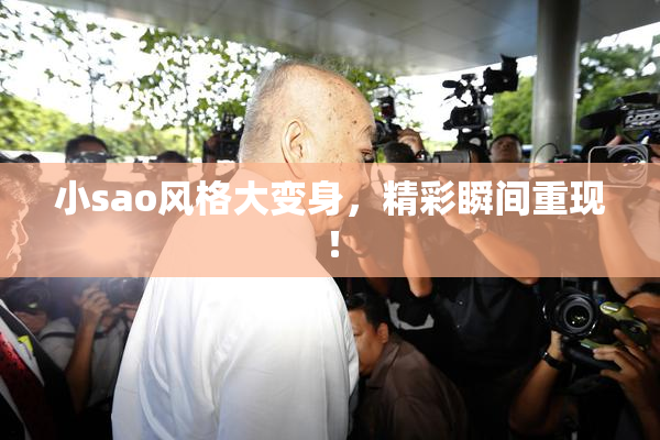 小sao风格大变身，精彩瞬间重现！