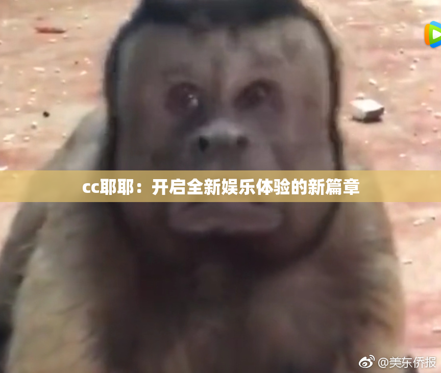 cc耶耶：开启全新娱乐体验的新篇章