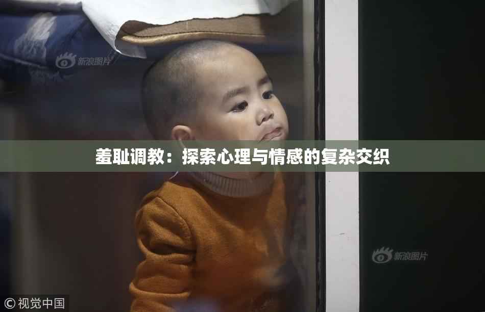 羞耻调教：探索心理与情感的复杂交织