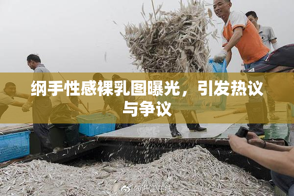 纲手性感裸乳图曝光，引发热议与争议