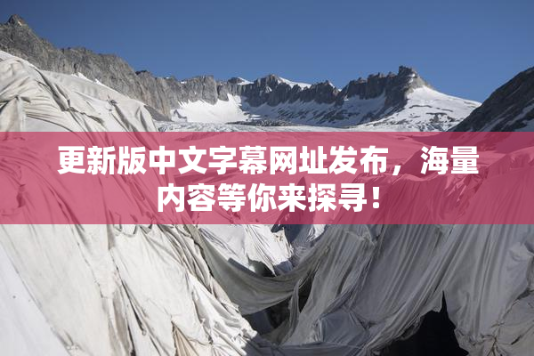 更新版中文字幕网址发布，海量内容等你来探寻！