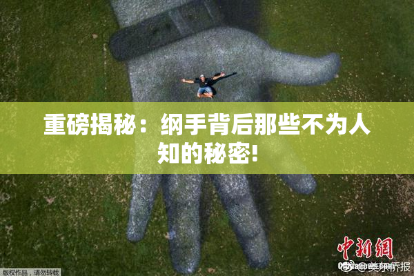 重磅揭秘：纲手背后那些不为人知的秘密!