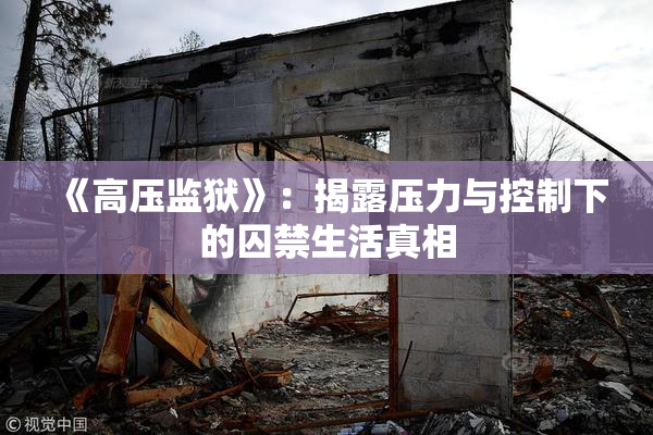 《高压监狱》：揭露压力与控制下的囚禁生活真相