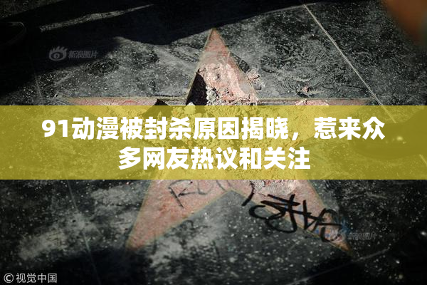 91动漫被封杀原因揭晓，惹来众多网友热议和关注