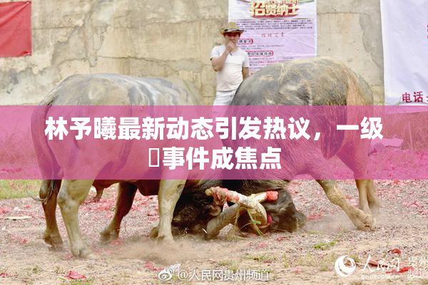 林予曦最新动态引发热议，一级婬事件成焦点