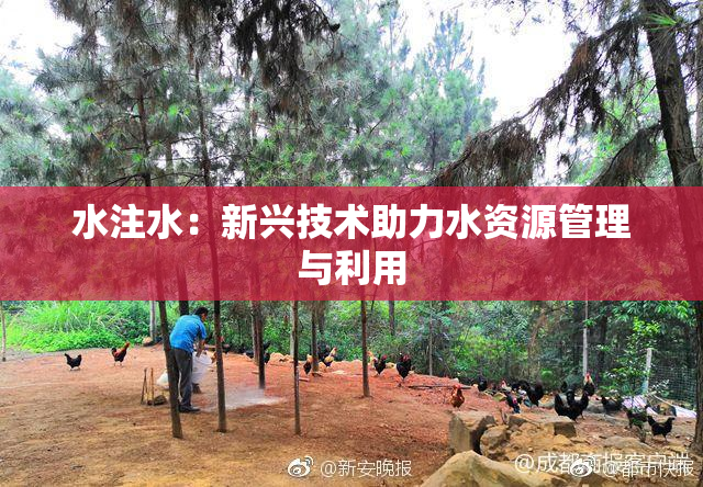 水注水：新兴技术助力水资源管理与利用