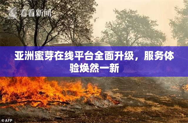 亚洲蜜芽在线平台全面升级，服务体验焕然一新