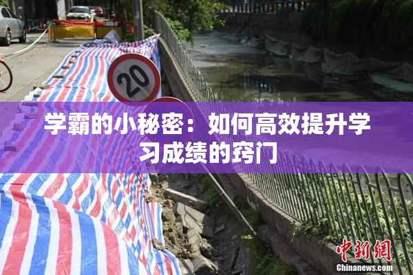 学霸的小秘密：如何高效提升学习成绩的窍门