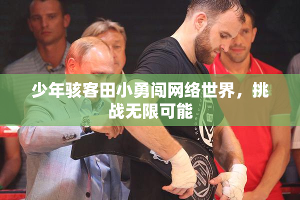 少年骇客田小勇闯网络世界，挑战无限可能