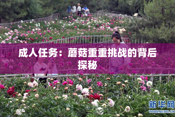 成人任务：蘑菇重重挑战的背后探秘