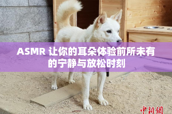 ASMR 让你的耳朵体验前所未有的宁静与放松时刻
